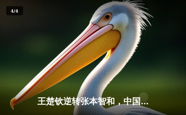 王楚钦逆转张本智和，中国男乒锁定WTT世界杯决赛冠亚军 - 4