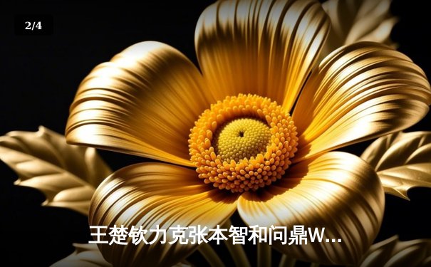 王楚钦力克张本智和问鼎WTT冠军赛，国乒新生代扛起大旗 - 2