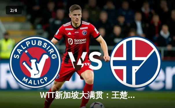 WTT新加坡大满贯：王楚钦4-1逆转梁靖崑夺冠，国乒包揽男单冠亚军 - 2