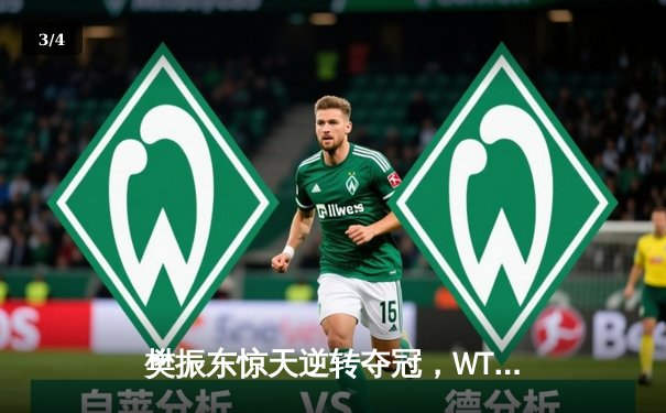 樊振东惊天逆转夺冠，WTT新加坡大满贯男单决赛上演经典对决 - 3